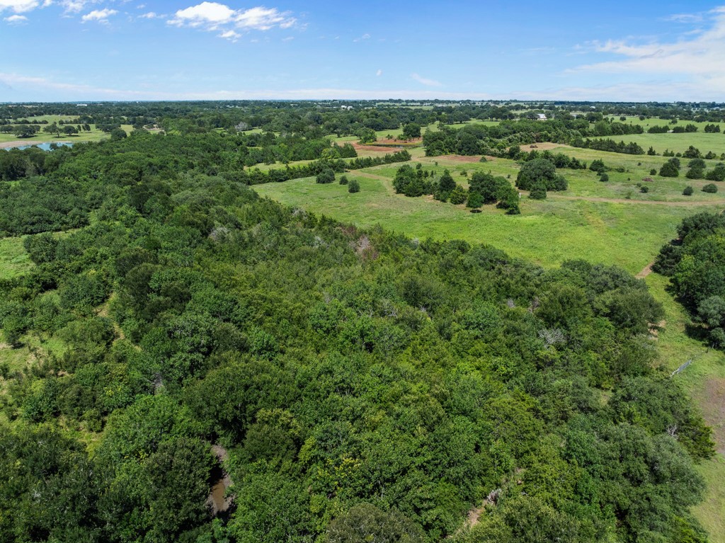 1190 North Nassau Road Round Top, TX 78954 - Photo 24 of 37 a view of a green field with an outdoor space