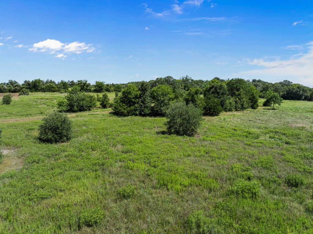 1190 North Nassau Road Round Top, TX 78954 - Photo 26 of 37 a view of an outdoor space and a yard