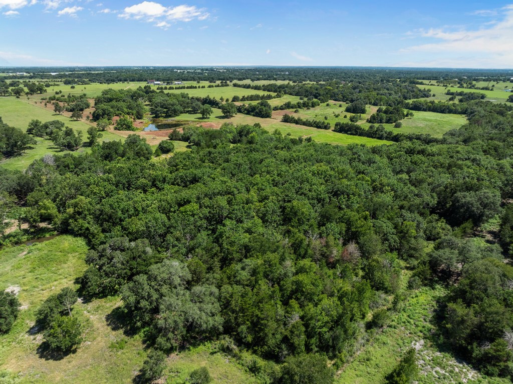 1190 North Nassau Road Round Top, TX 78954 - Photo 29 of 37 an aerial view of a houses with yard and lake view