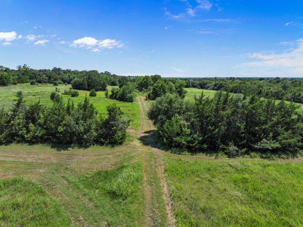 1190 North Nassau Road Round Top, TX 78954 - Photo 31 of 37 a view of a garden