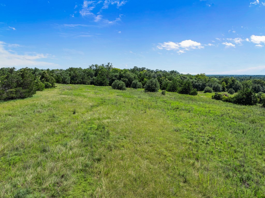 1190 North Nassau Road Round Top, TX 78954 - Photo 34 of 37 a view of an outdoor space and a yard