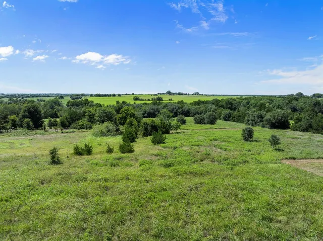a view of a green field with an trees