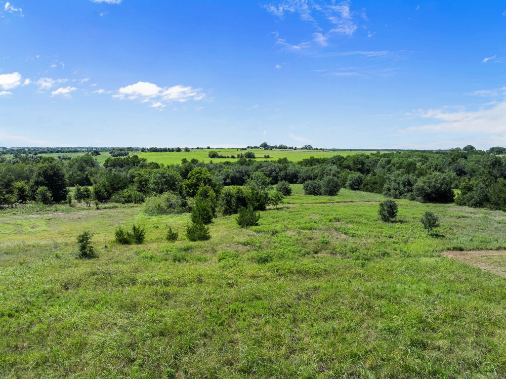 1190 North Nassau Road Round Top, TX 78954 - Photo 35 of 37 a view of a big yard with potted plants and large tree