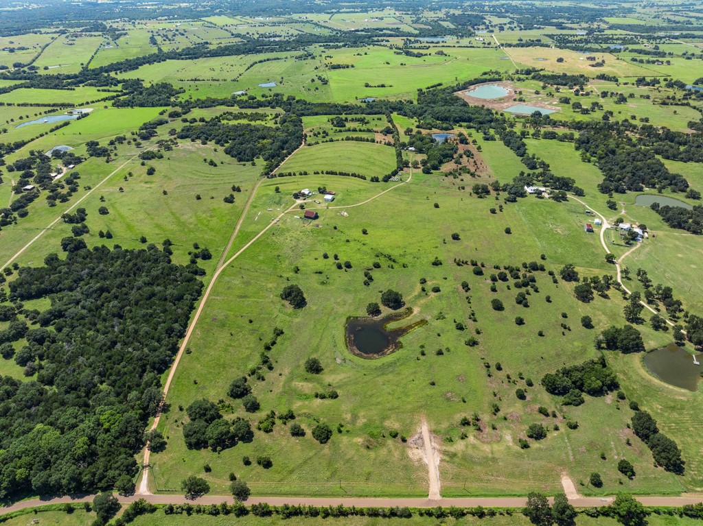 1190 North Nassau Road Round Top, TX 78954 - Photo 4 of 37