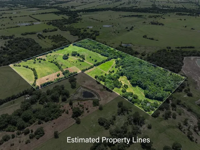 a view of a garden with a house