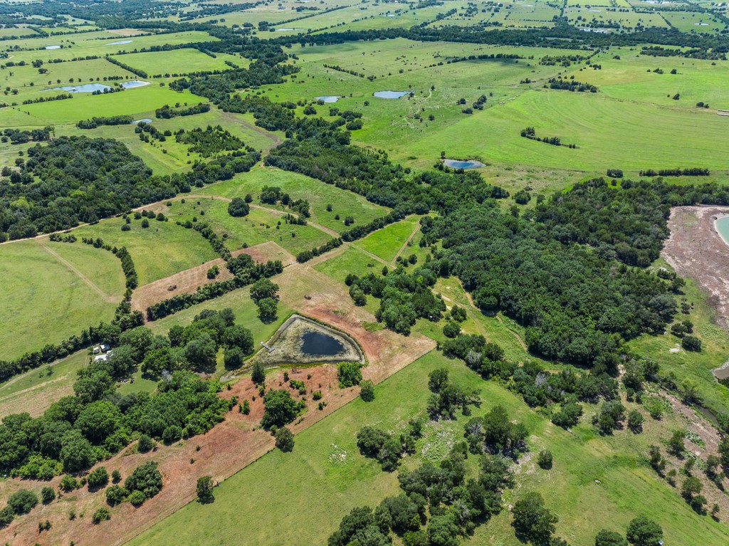 1190 North Nassau Road Round Top, TX 78954 - Photo 6 of 37 a view of a garden with a house