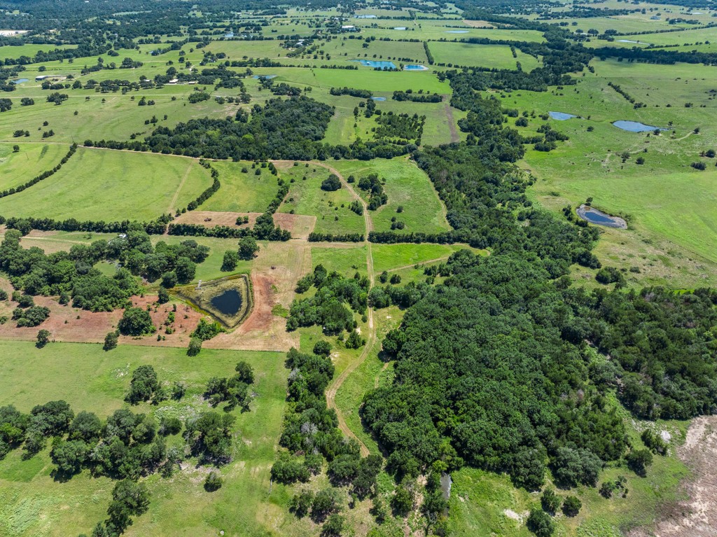 1190 North Nassau Road Round Top, TX 78954 - Photo 8 of 37 an aerial view of a house with a yard