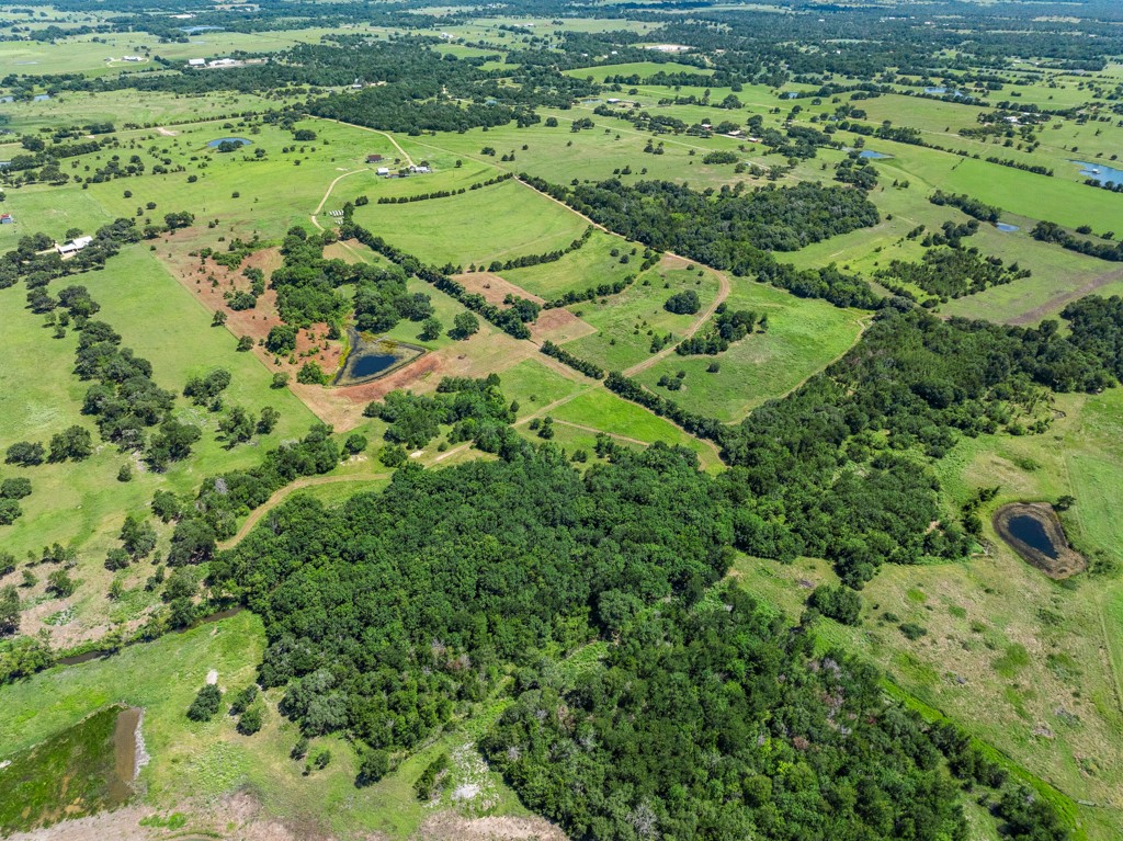 1190 North Nassau Road Round Top, TX 78954 - Photo 9 of 37 a view of a garden with a tree