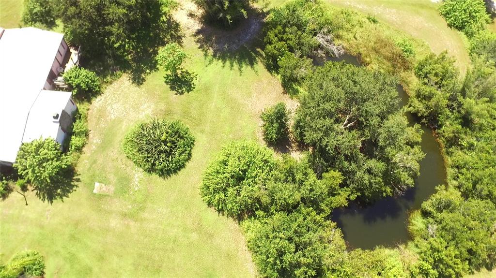 11542 Sumner Road Wimauma, FL 33598 - Photo 3 of 65 a view of a garden