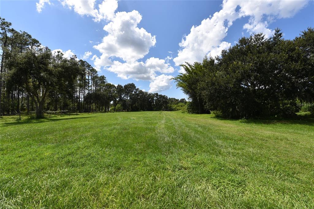 11542 Sumner Road Wimauma, FL 33598 - Photo 46 of 65 a view of a green field