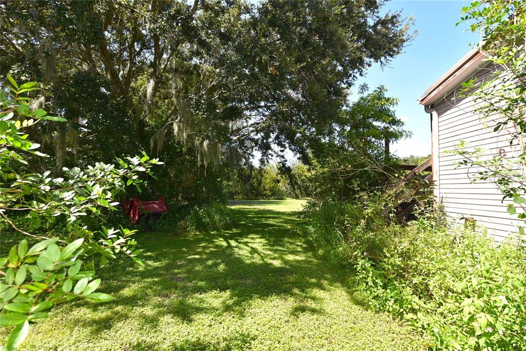 11542 Sumner Road Wimauma, FL 33598 - Photo 47 of 65 a view of a yard