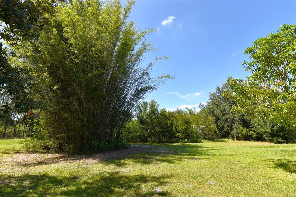 11542 Sumner Road Wimauma, FL 33598 - Photo 48 of 65