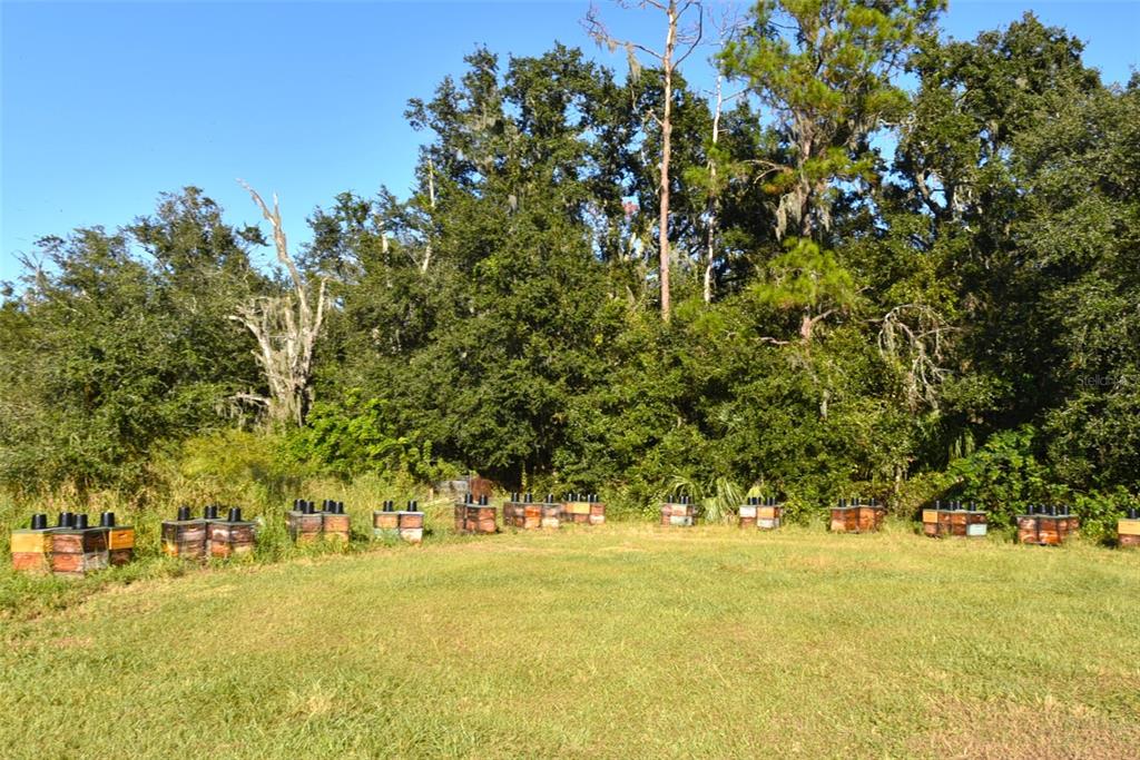 11542 Sumner Road Wimauma, FL 33598 - Photo 51 of 65