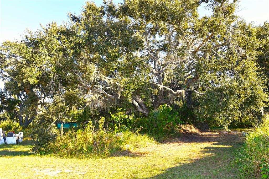 11542 Sumner Road Wimauma, FL 33598 - Photo 53 of 65