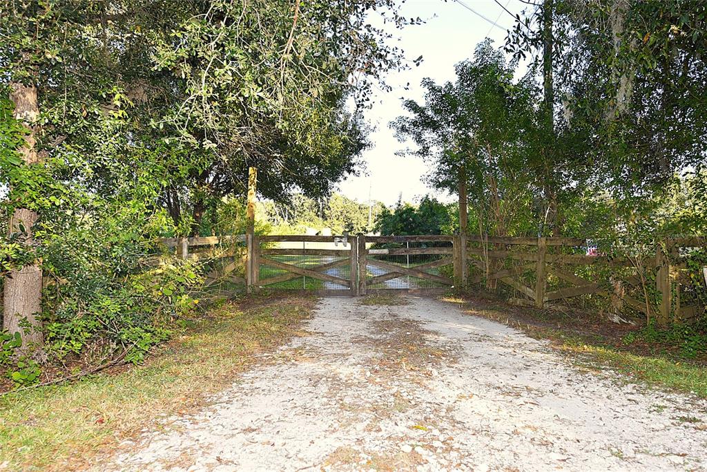11542 Sumner Road Wimauma, FL 33598 - Photo 54 of 65 a backyard of a house with lots of green space