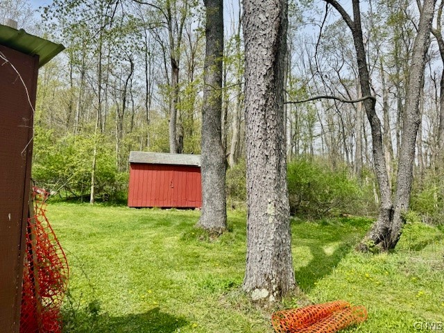 2190 Danby Road Danby, NY 13864 - Photo 41 of 43