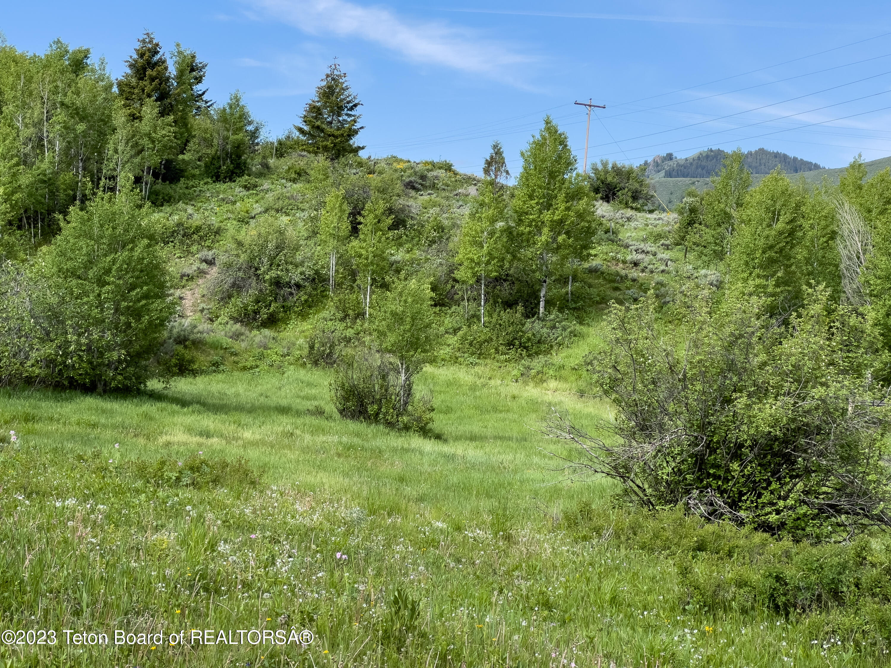 Rodeo Road Jackson, WY 83001 - Photo 3 of 25 Meadow and Ridgeline