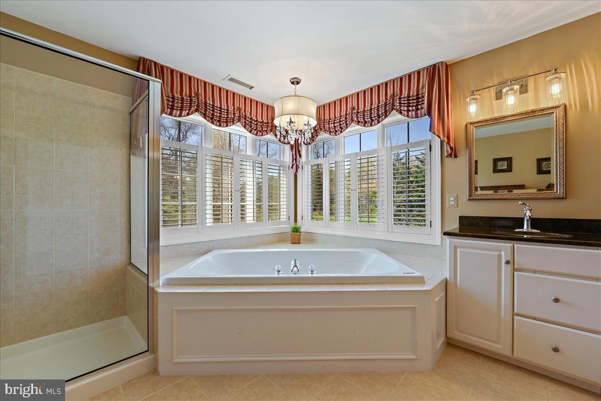 3 Springlea Lane Chester Springs, PA 19425 - Photo 34 of 55 Master Bathrooms soaking tub and shower