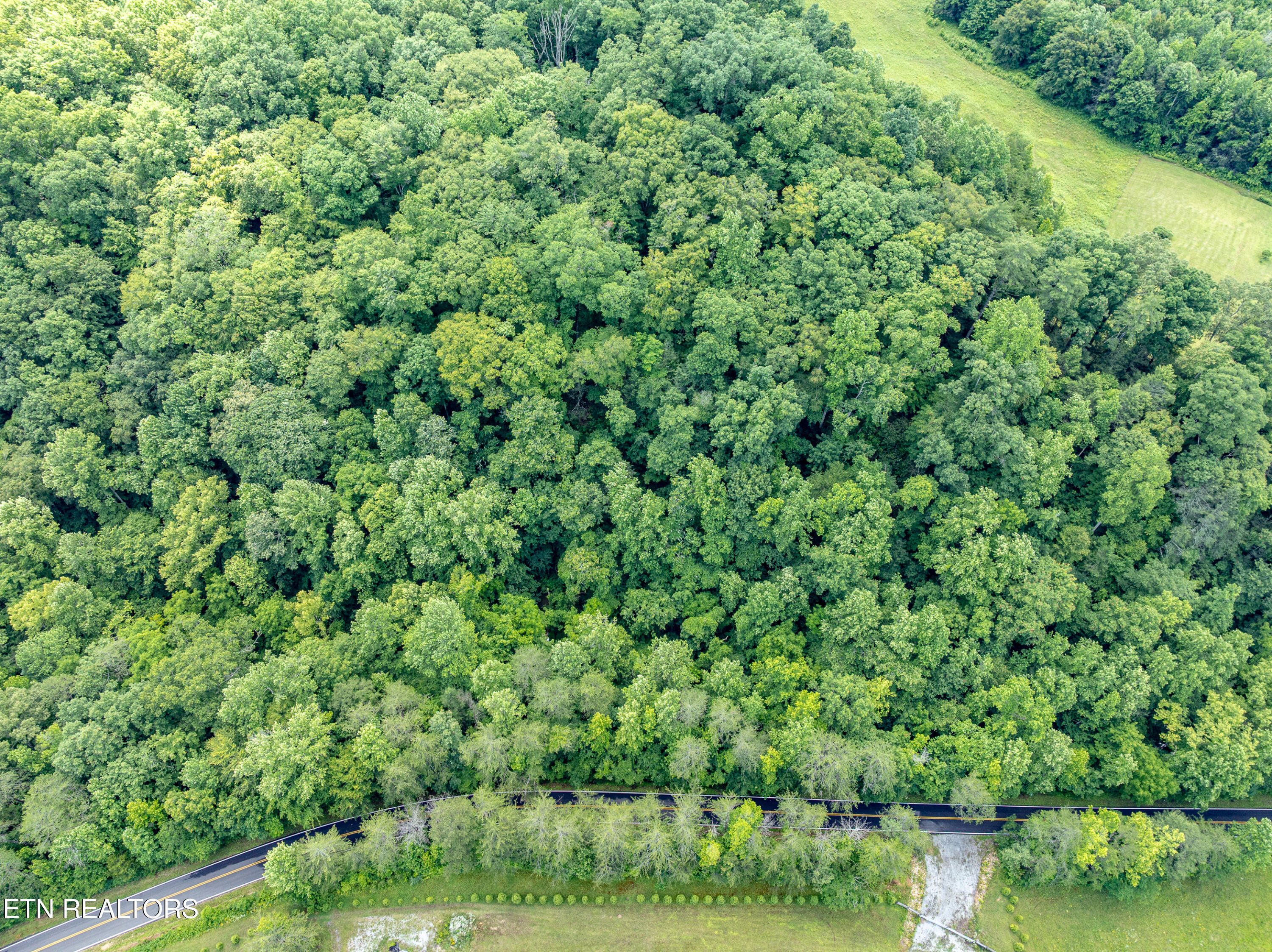 1477 Old Chilhowee Road Seymour, TN 37865 - Photo 13 of 32 Aerial