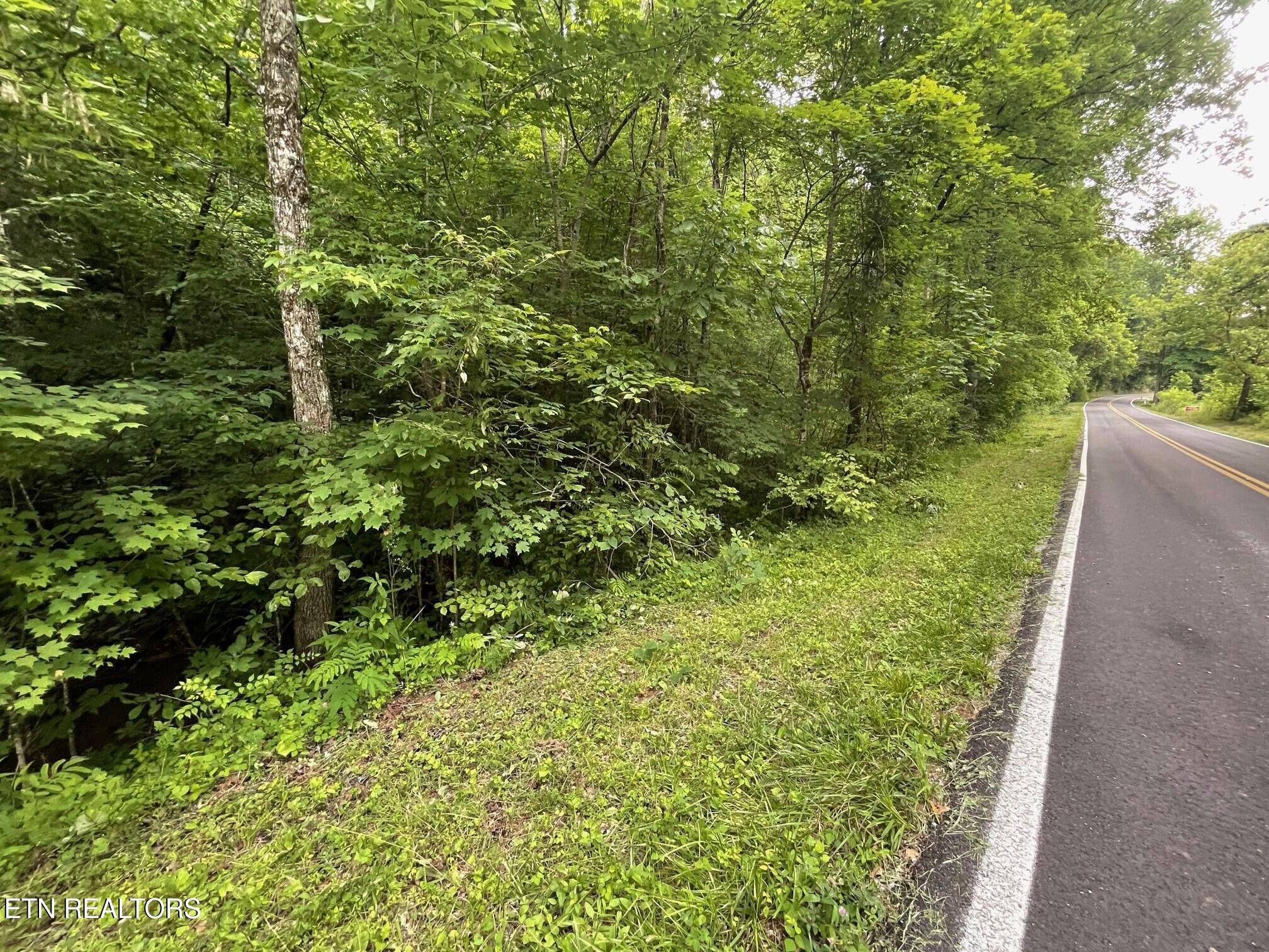 1477 Old Chilhowee Road Seymour, TN 37865 - Photo 16 of 32 5.53 +/- Acres in Seymour