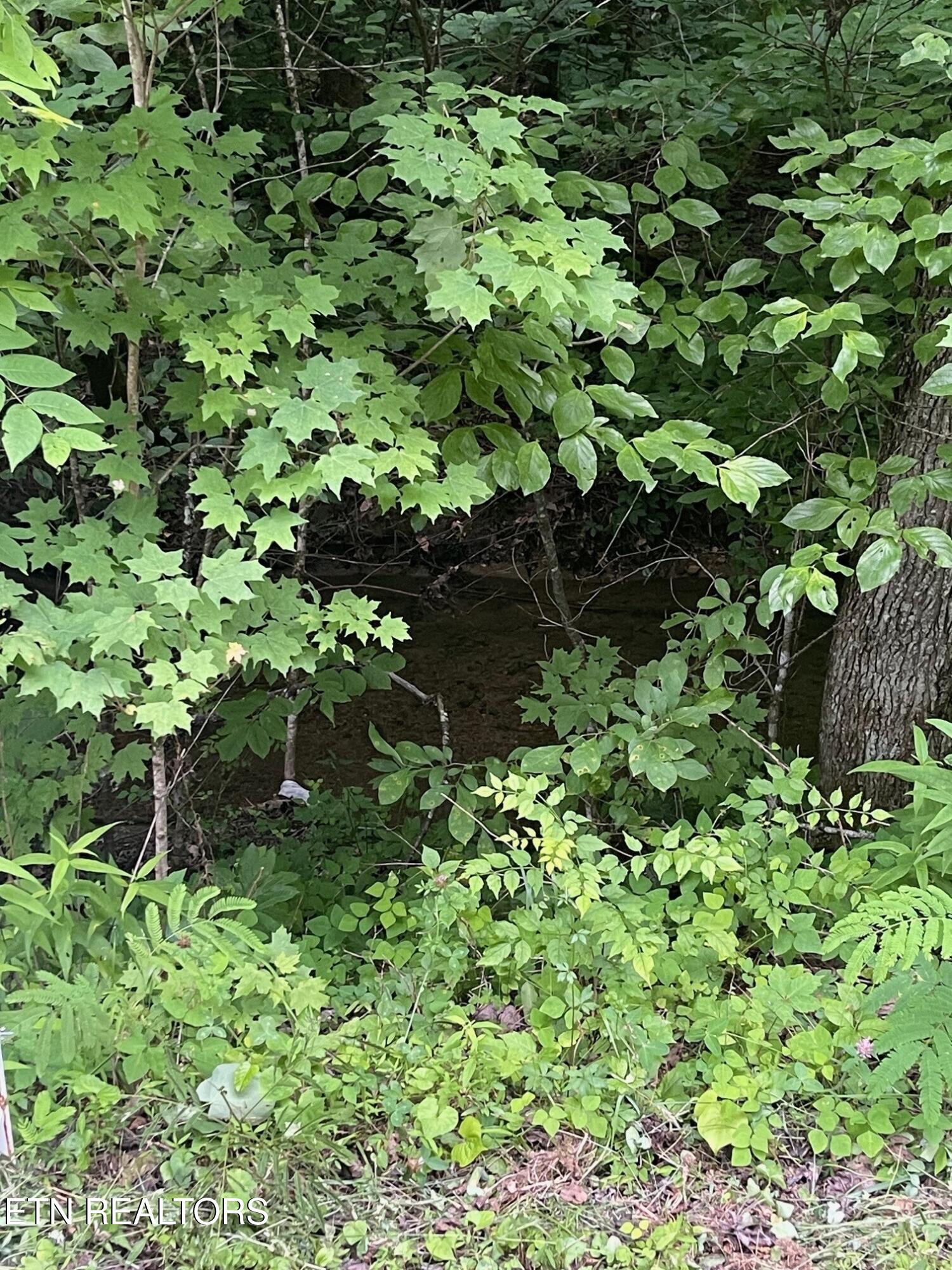 1477 Old Chilhowee Road Seymour, TN 37865 - Photo 17 of 32 Creek