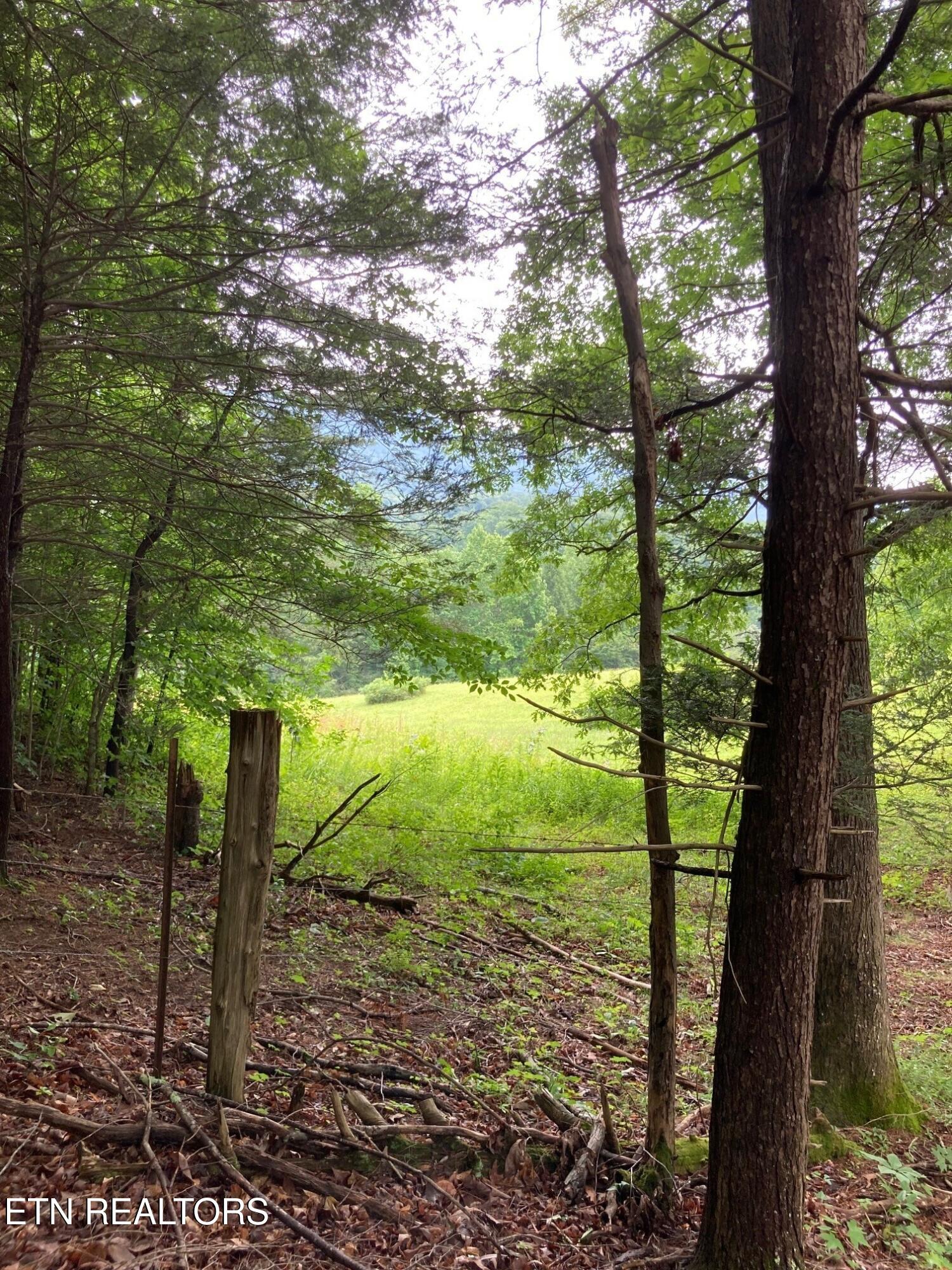 1477 Old Chilhowee Road Seymour, TN 37865 - Photo 20 of 32 Natural Beauty...