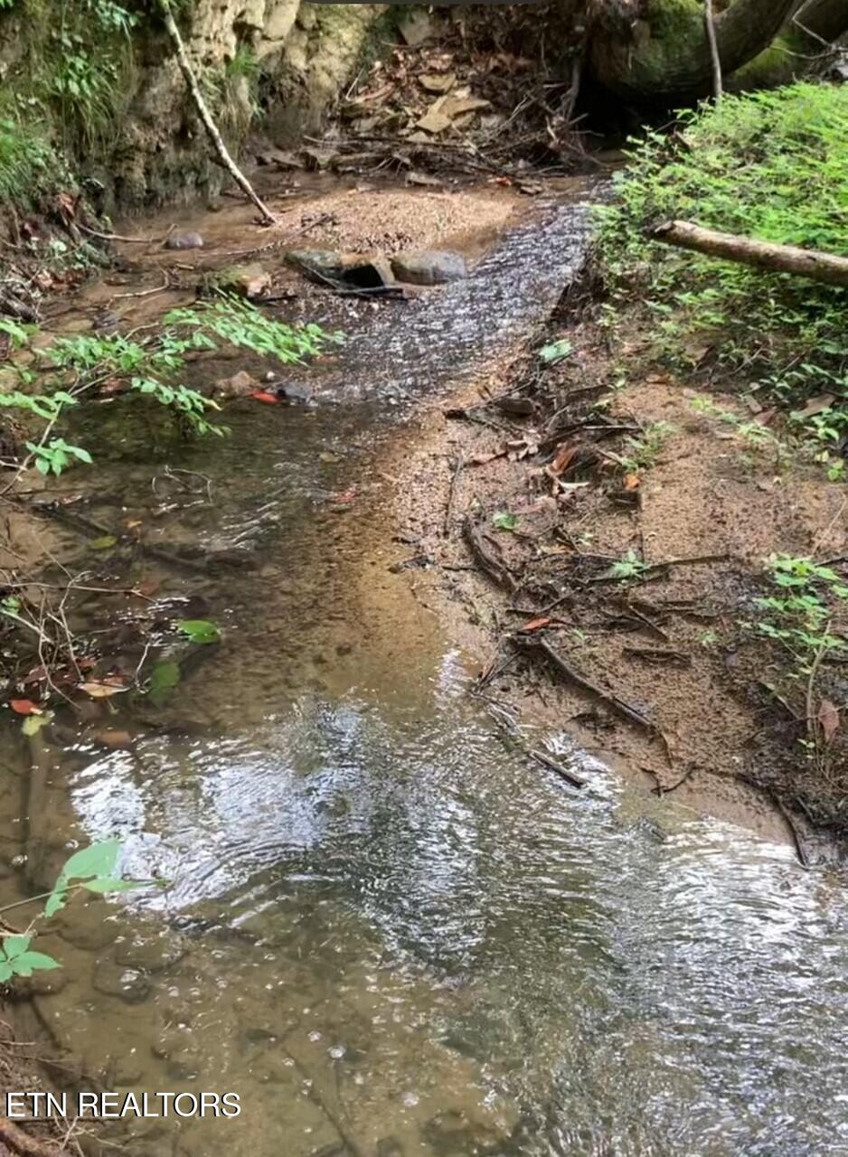 1477 Old Chilhowee Road Seymour, TN 37865 - Photo 21 of 32 ...and Privacy