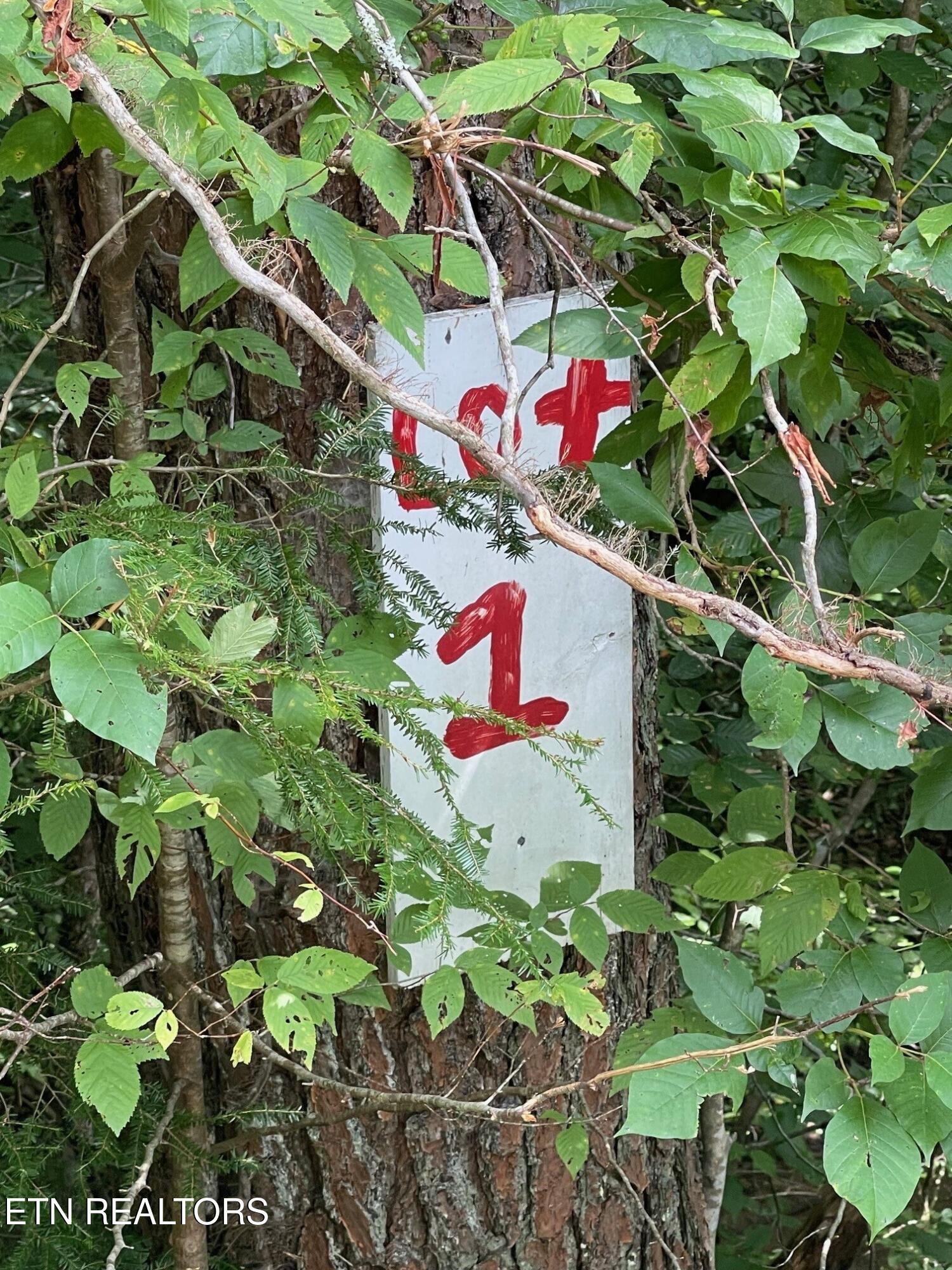 1477 Old Chilhowee Road Seymour, TN 37865 - Photo 27 of 32 11