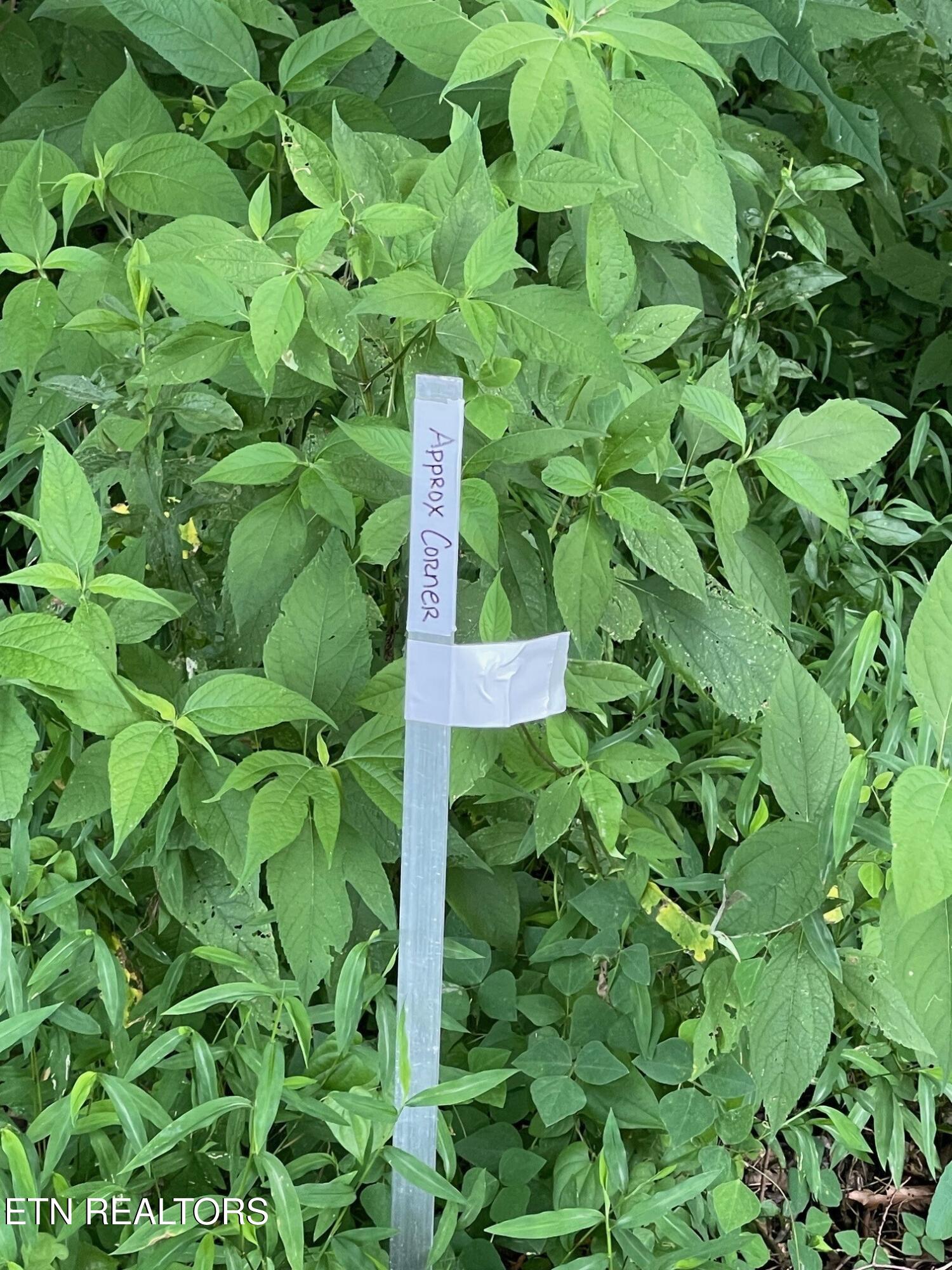 1477 Old Chilhowee Road Seymour, TN 37865 - Photo 29 of 32 13