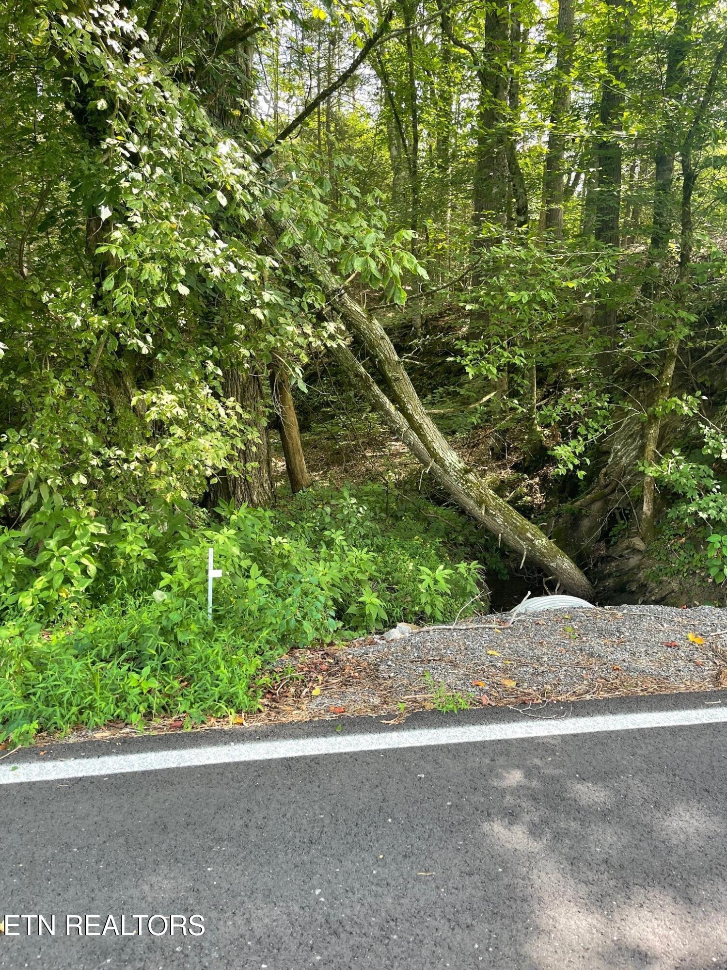 1477 Old Chilhowee Road Seymour, TN 37865 - Photo 30 of 32 14