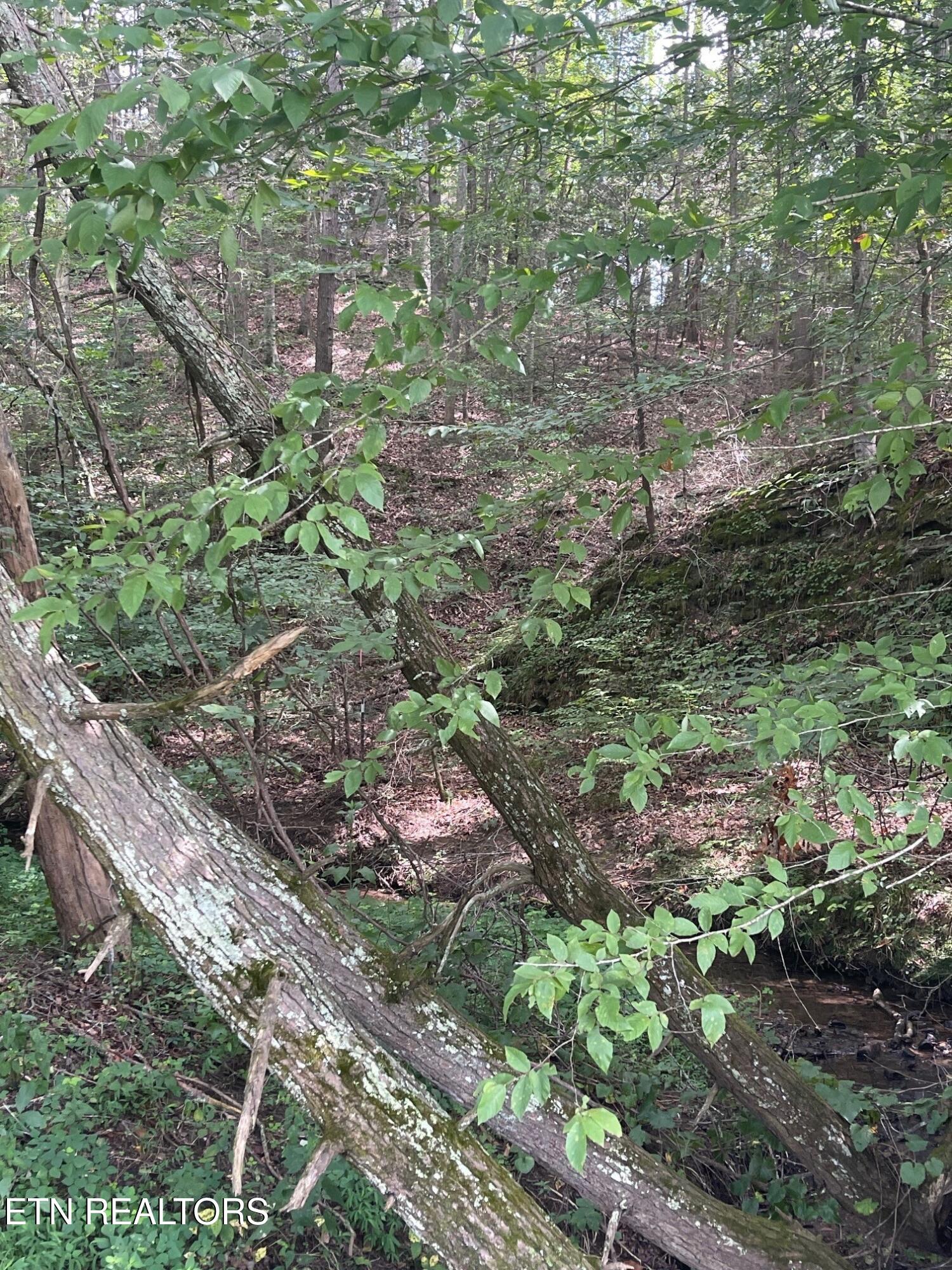 1477 Old Chilhowee Road Seymour, TN 37865 - Photo 31 of 32 15