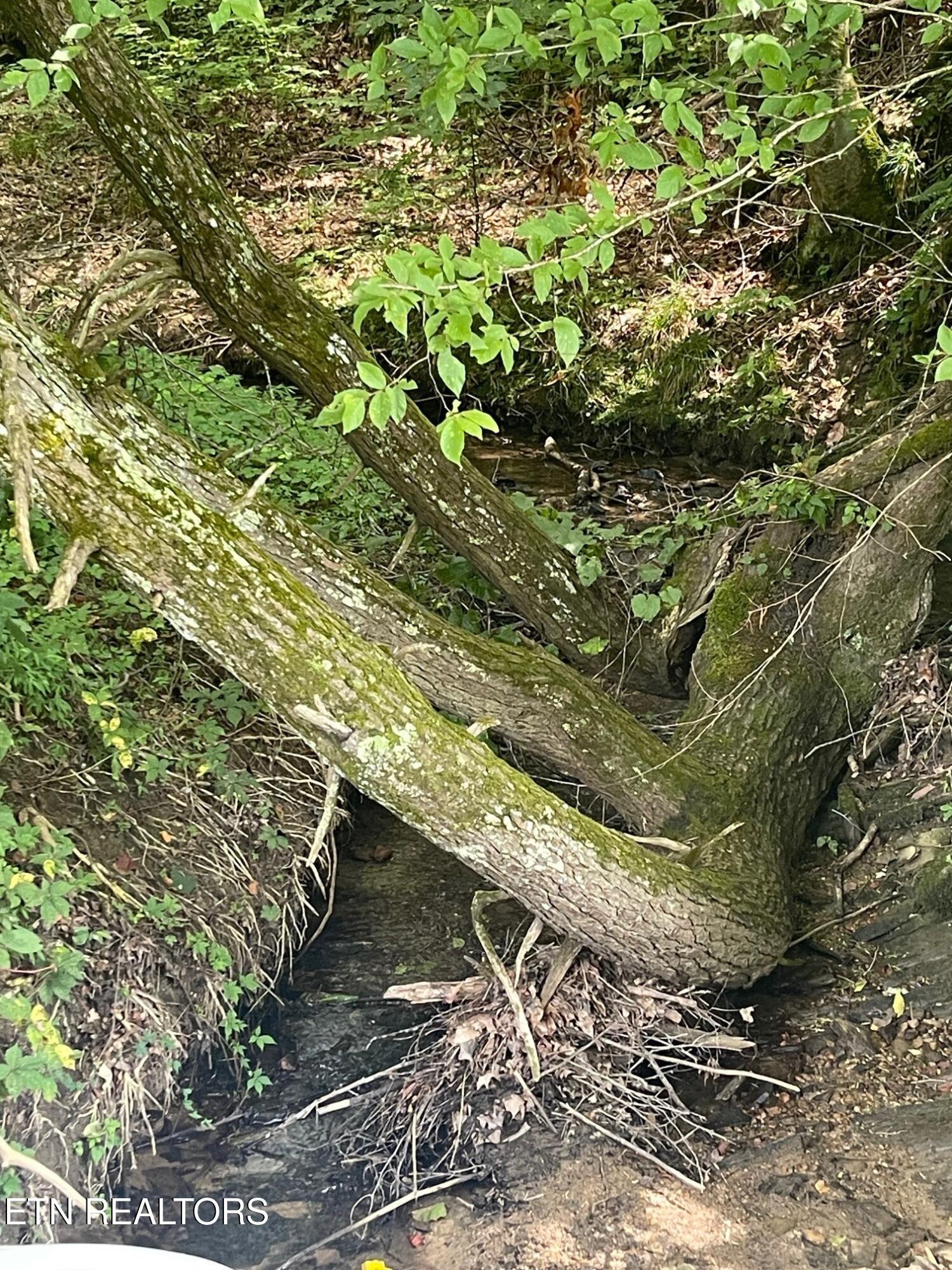 1477 Old Chilhowee Road Seymour, TN 37865 - Photo 32 of 32 16