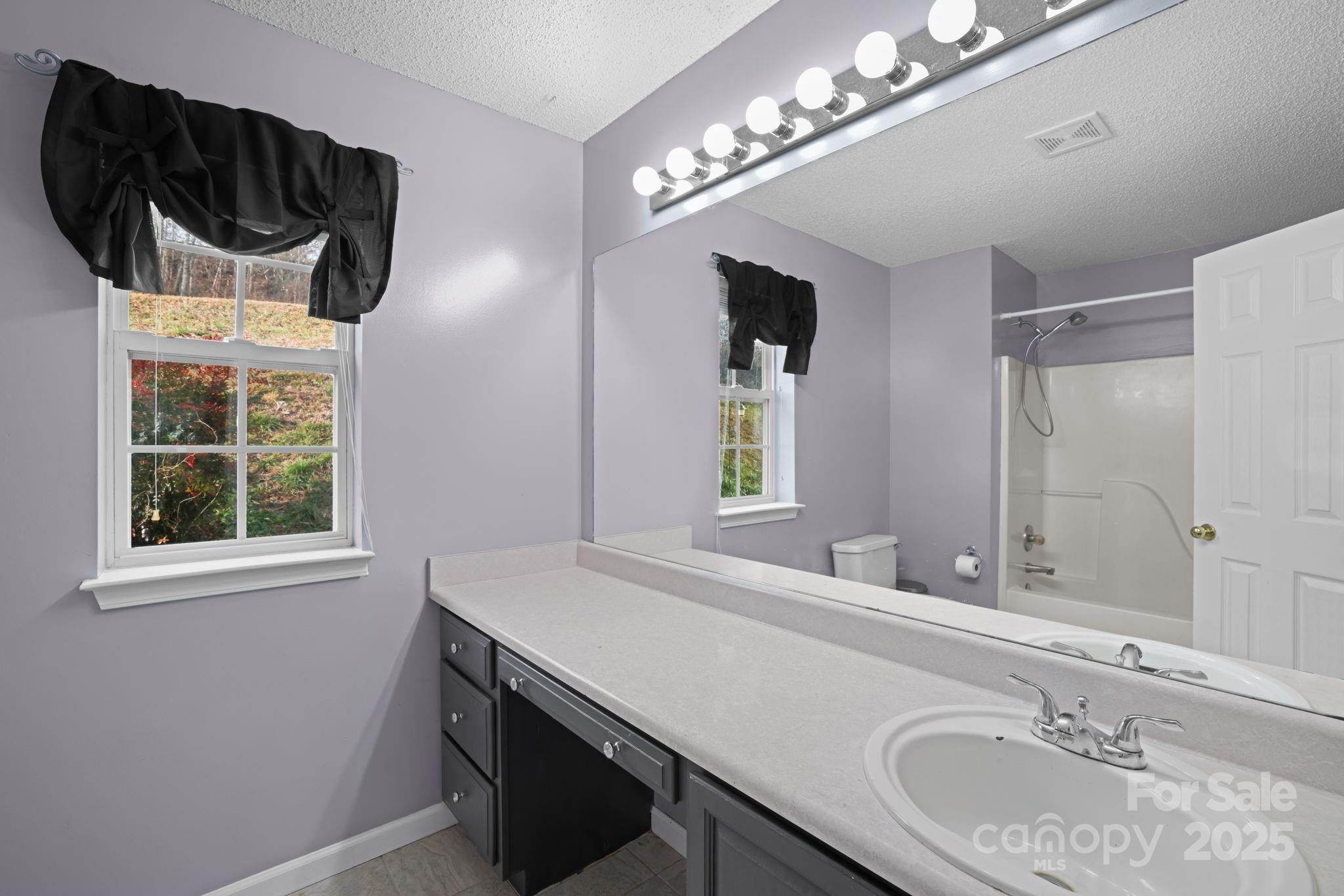 32 Wheat Ridge Road Sylva, NC 28779 - Photo 16 of 44 a bathroom with a sink and a mirror
