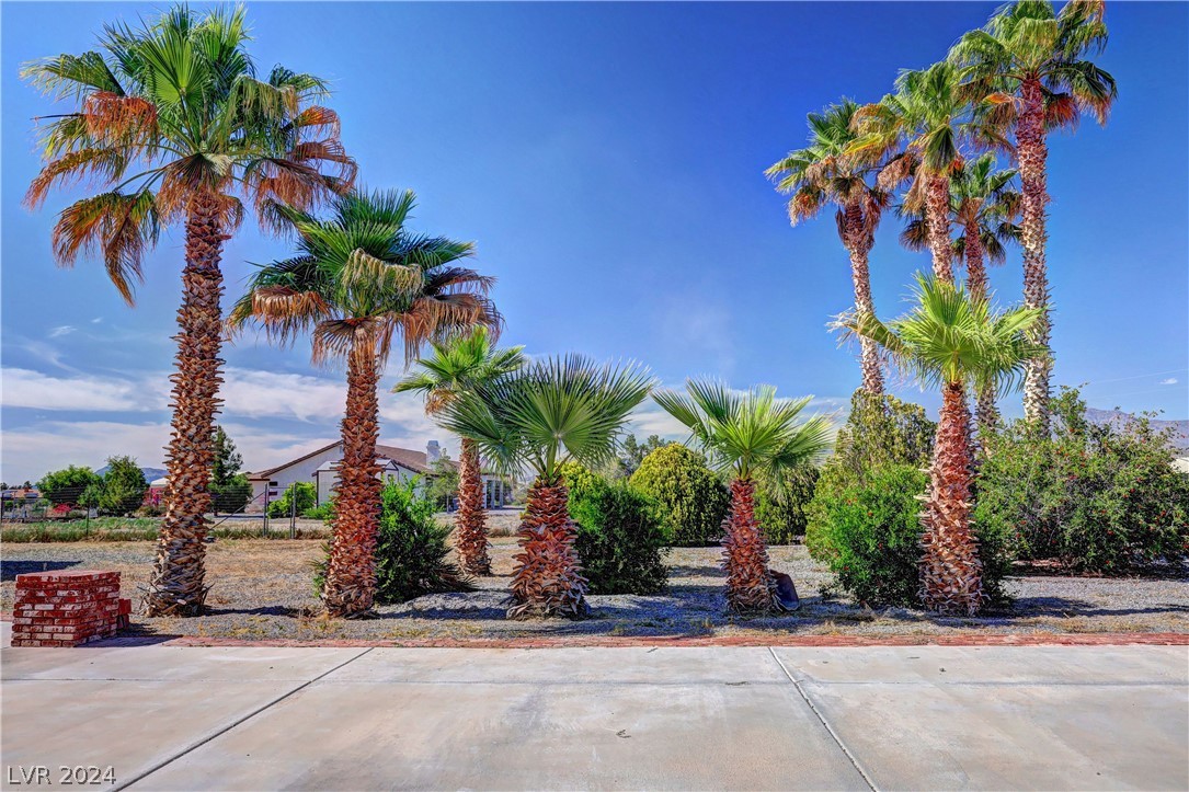 3651 Ranger Way Pahrump, NV 89048 - Photo 63 of 71 Gallery Image 63