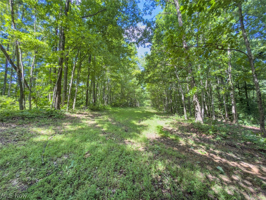 6985 Brush Run Road Cambridge, OH 43725 - Photo 27 of 50