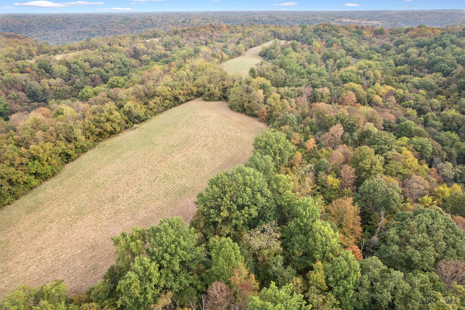 0 Fishing Gut Road Aberdeen, OH 45101 - Photo 9 of 20 Gallery Image 9