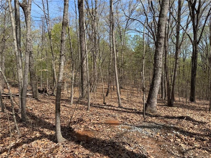0 Bethel Road Gainesville, GA 30506 - Photo 12 of 15 a backyard of a house with lots of tall trees