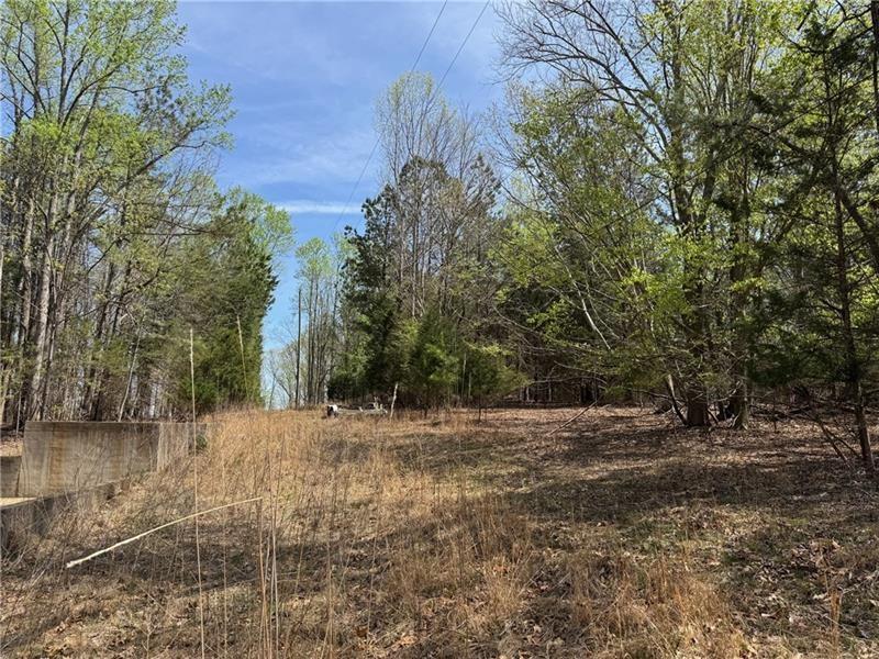 0 Bethel Road Gainesville, GA 30506 - Photo 13 of 15 a view of dirt yard with a large tree