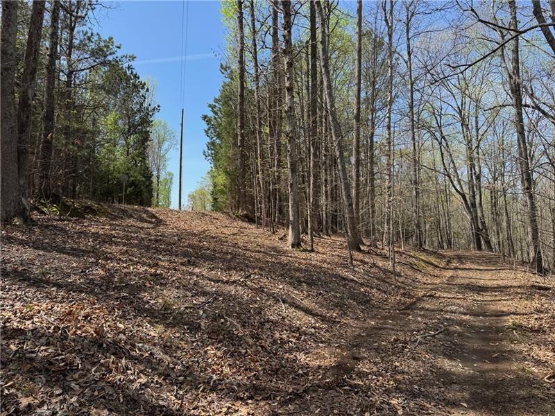 0 Bethel Road Gainesville, GA 30506 - Photo 14 of 15 a view of a house with a yard