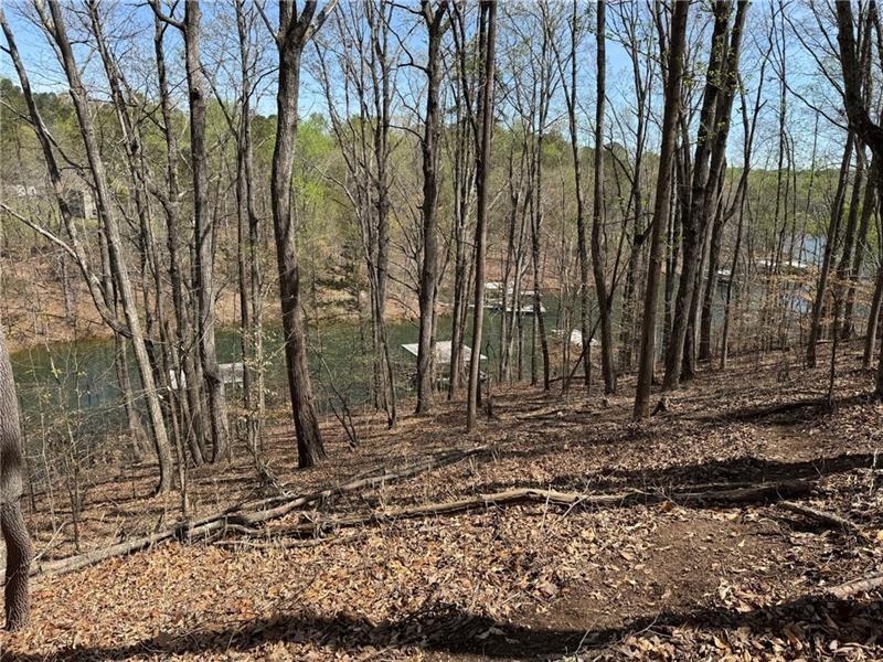 0 Bethel Road Gainesville, GA 30506 - Photo 15 of 15 a backyard of a house with lots of green space