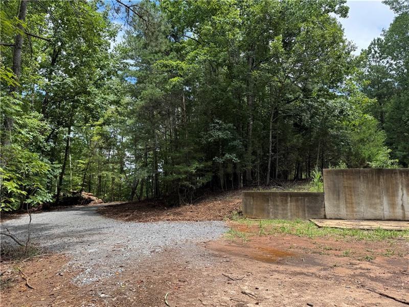 0 Bethel Road Gainesville, GA 30506 - Photo 3 of 15 a view of backyard with green space and trees