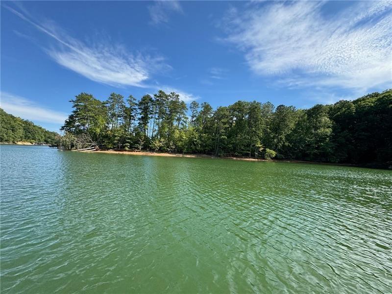0 Bethel Road Gainesville, GA 30506 - Photo 9 of 15 a view of a lake with a yard
