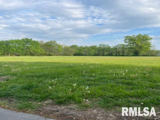 1316 Ritchey Drive Marion, IL 62959 - Photo 1 of 1