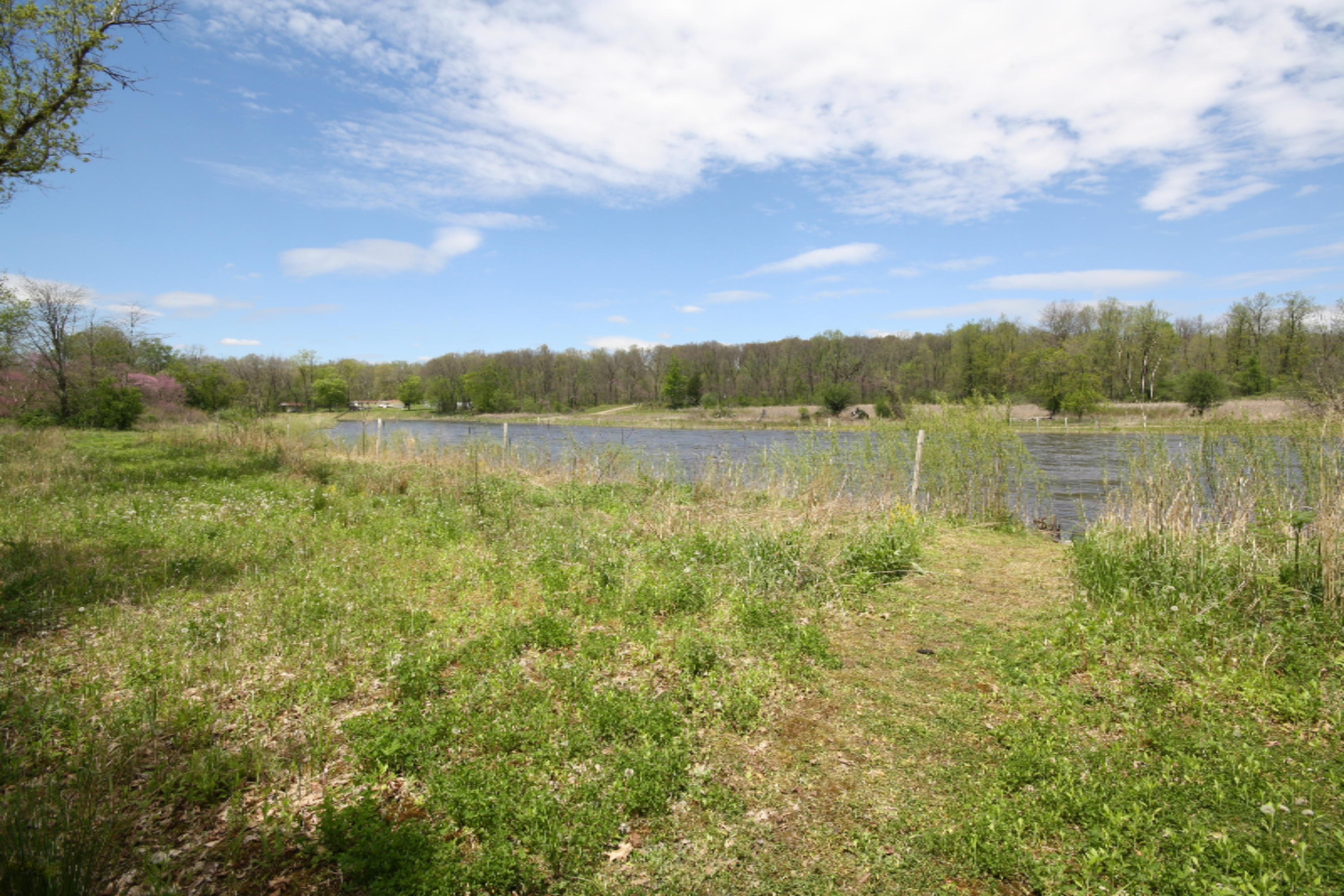 1859 Jefferson Road Otsego, MI 49078 - Photo 34 of 37 IMG_2613