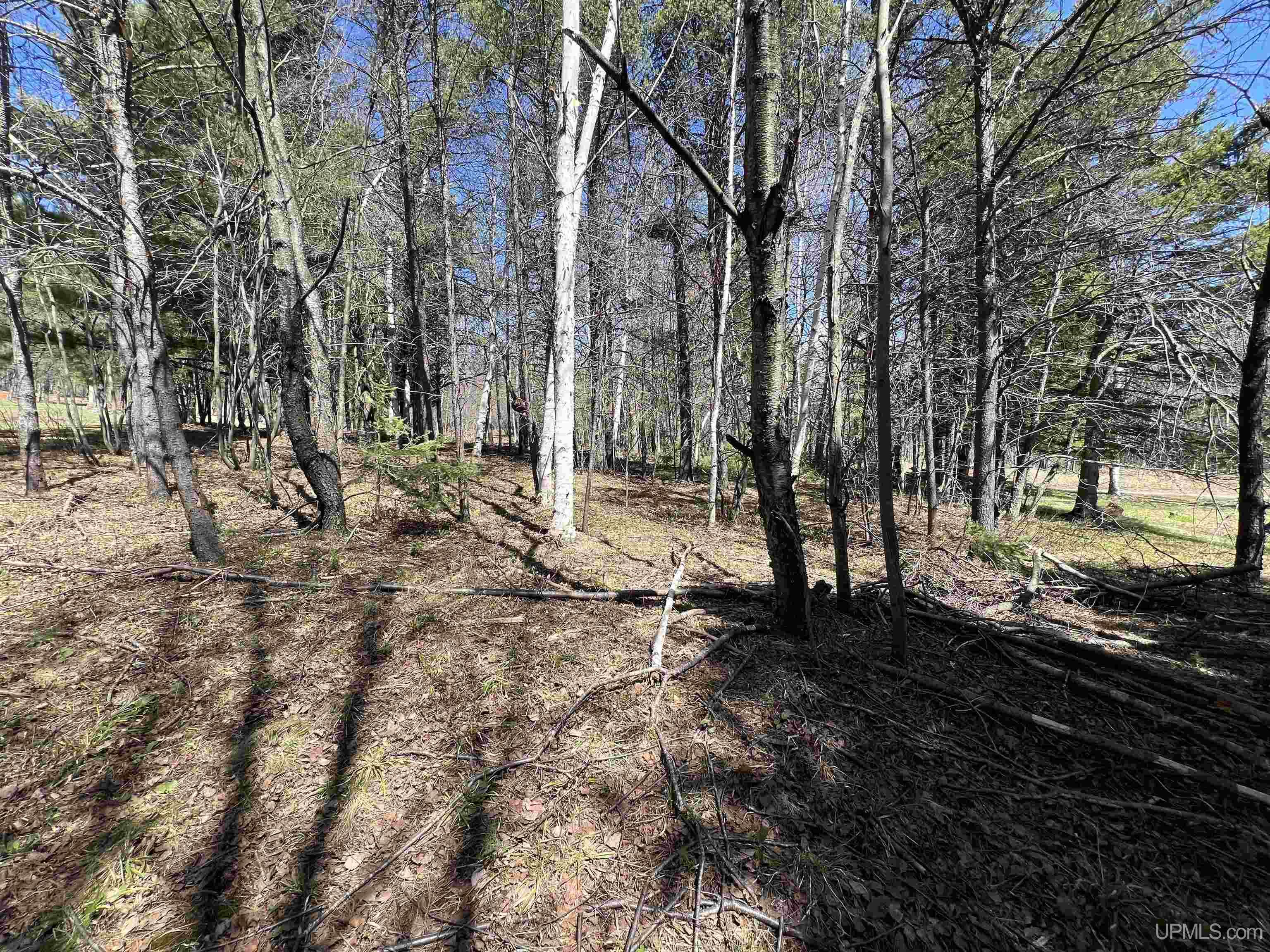 128 Johnson Road Negaunee, MI 49866 - Photo 40 of 62 Gallery Image 40