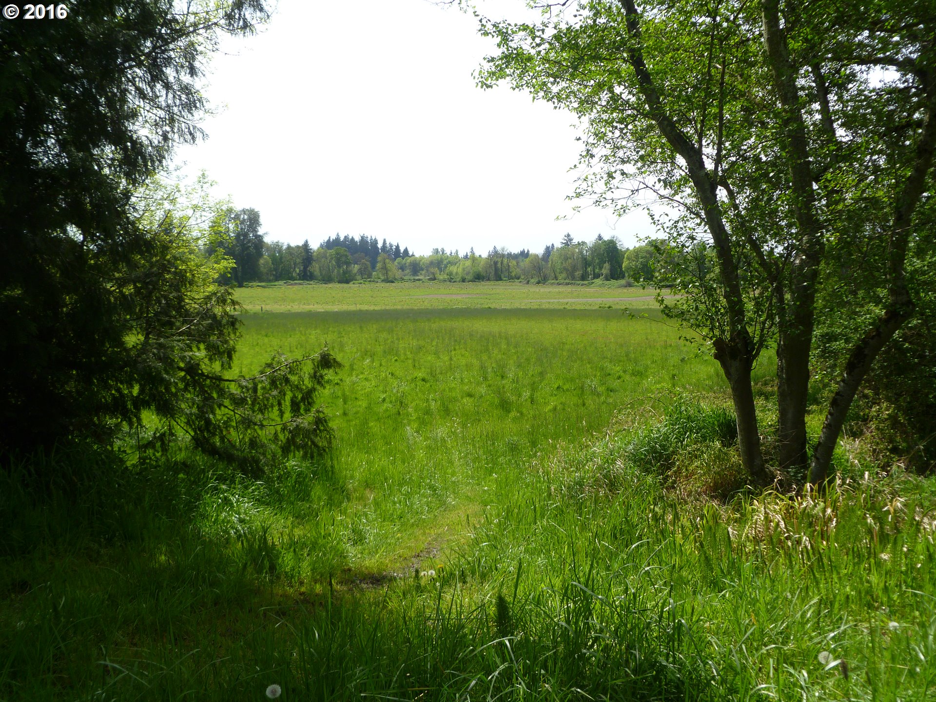 4382 South Elliott Prairie Road Woodburn, OR 97071 - Photo 12 of 23