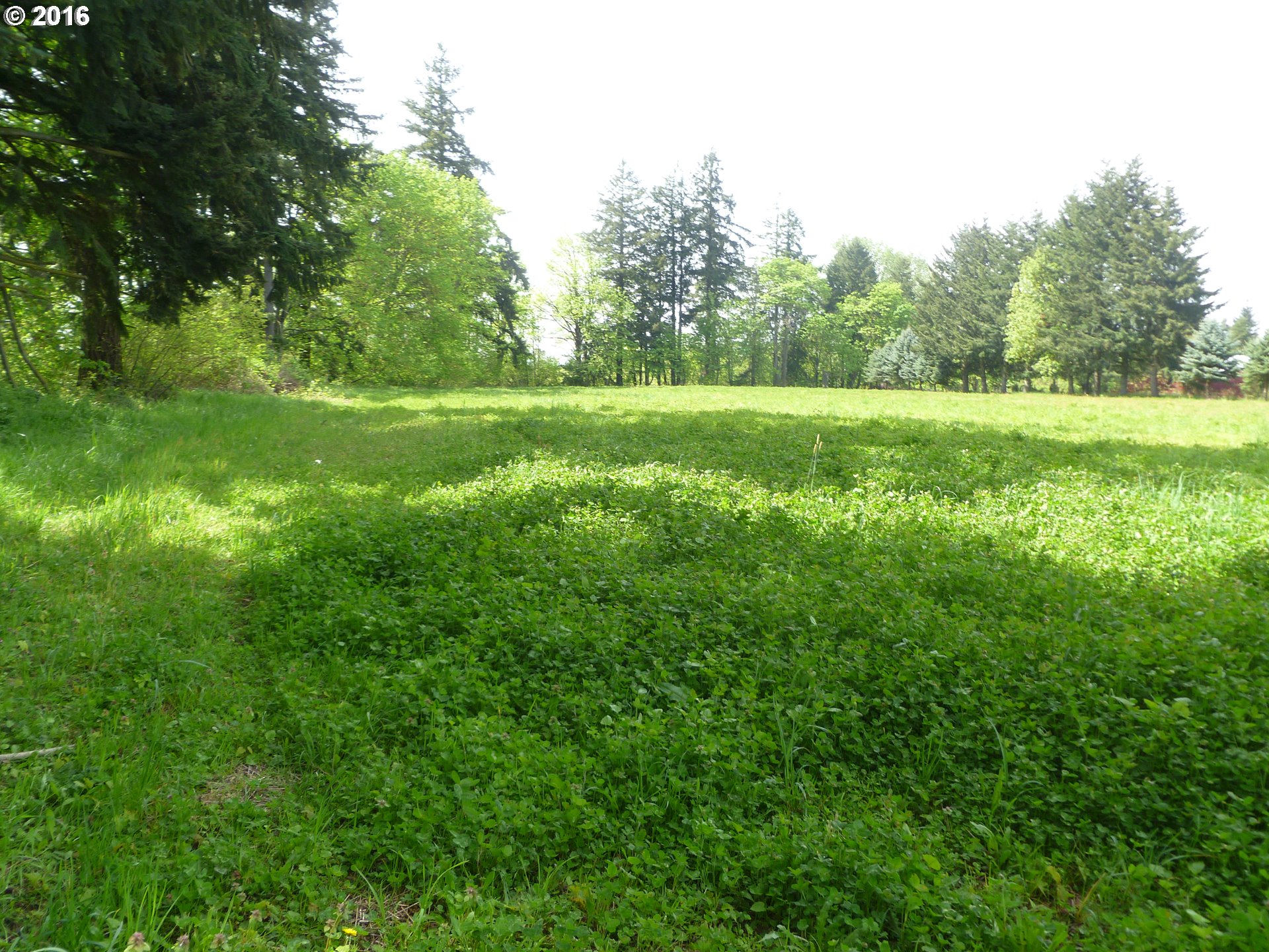 4382 South Elliott Prairie Road Woodburn, OR 97071 - Photo 14 of 23