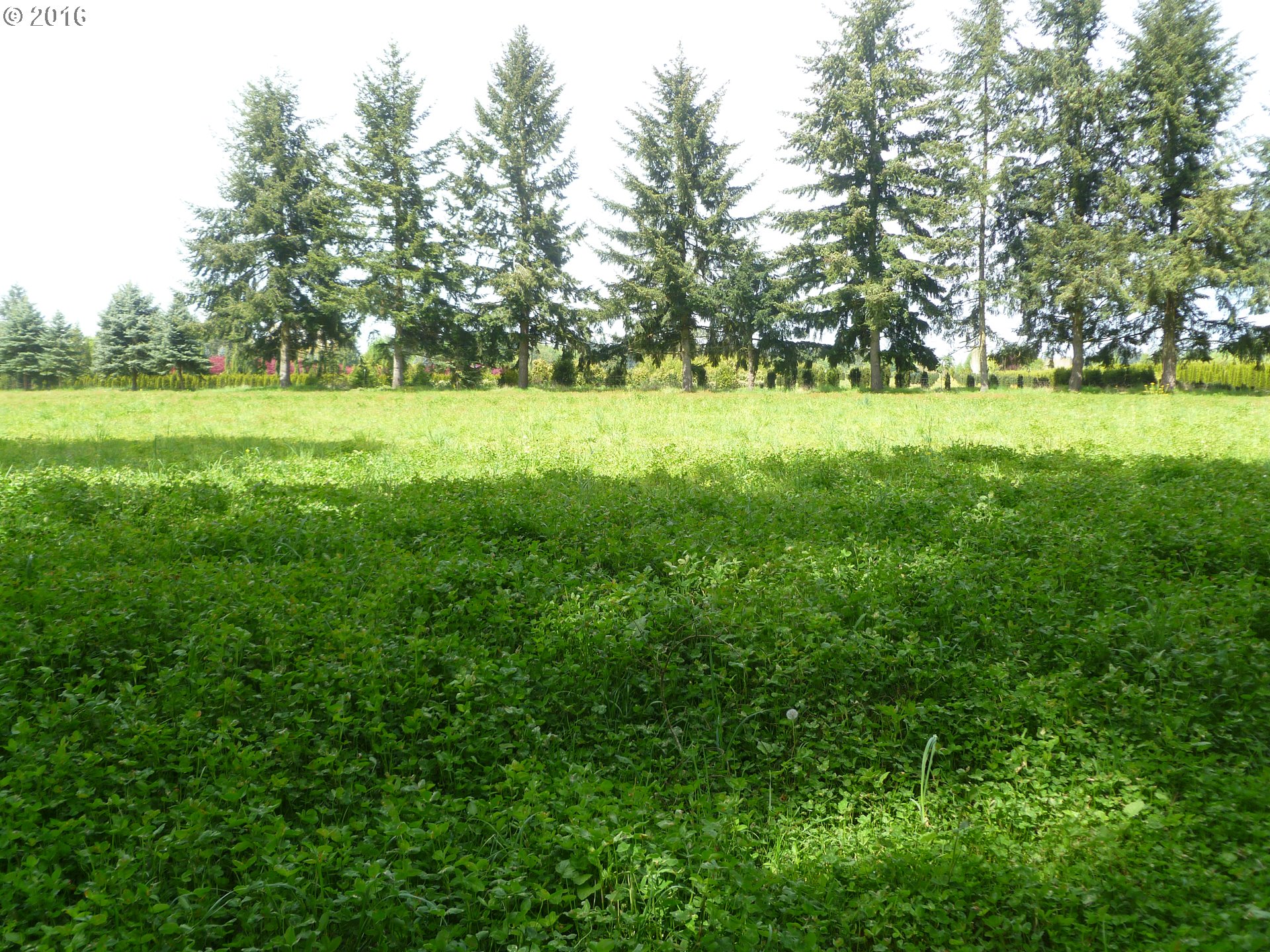 4382 South Elliott Prairie Road Woodburn, OR 97071 - Photo 15 of 23