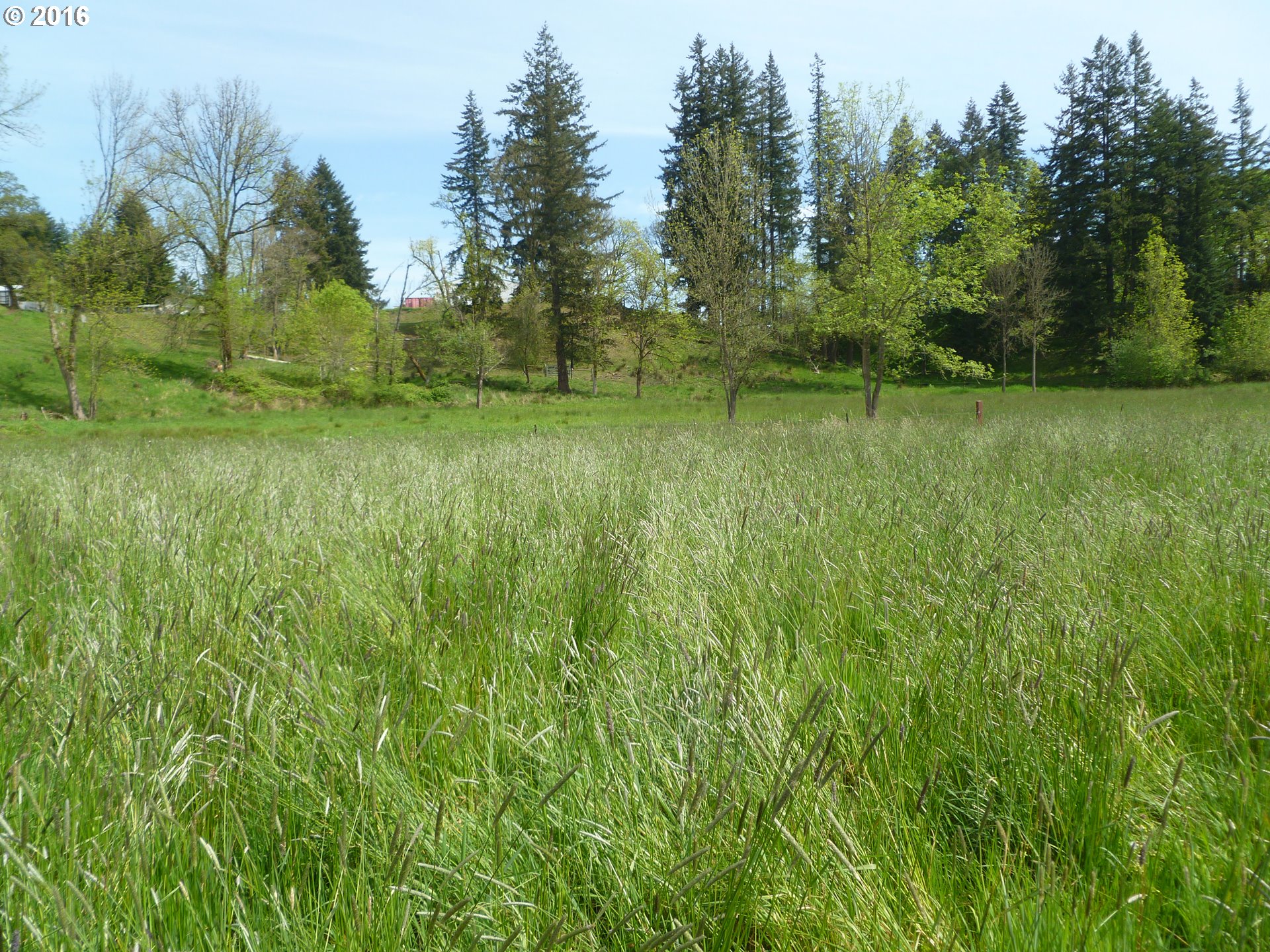 4382 South Elliott Prairie Road Woodburn, OR 97071 - Photo 17 of 23