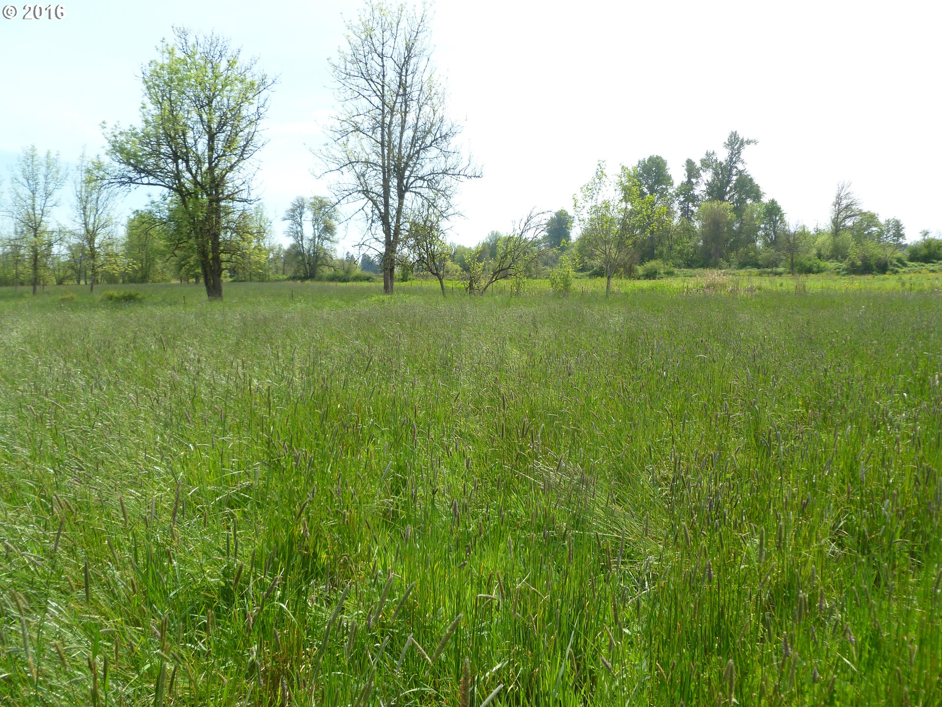 4382 South Elliott Prairie Road Woodburn, OR 97071 - Photo 19 of 23